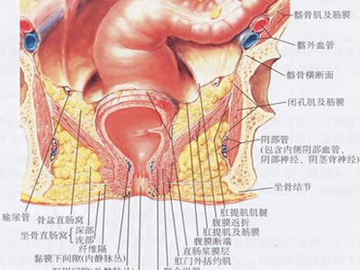 201210120901117171.jpg