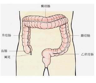201211130833395435.jpg