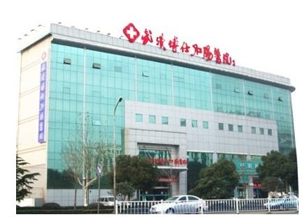 武汉博仕中医肛肠医院