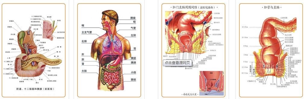 肠癌