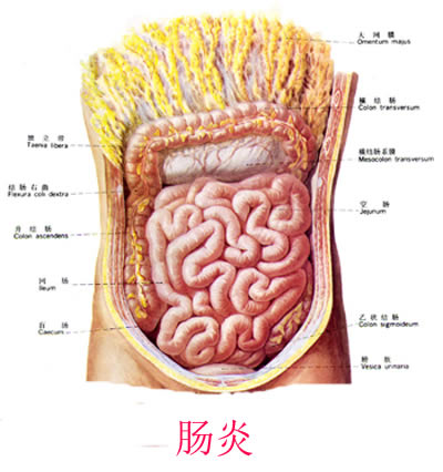 肠炎