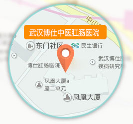 武汉博仕肛肠医院地址