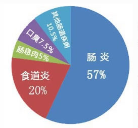 肠炎疾病