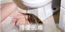 排便不畅