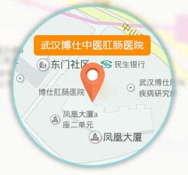 武汉博仕肛肠医院地址