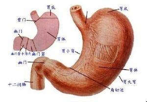 胃肠道功能性疾病