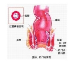 咨询